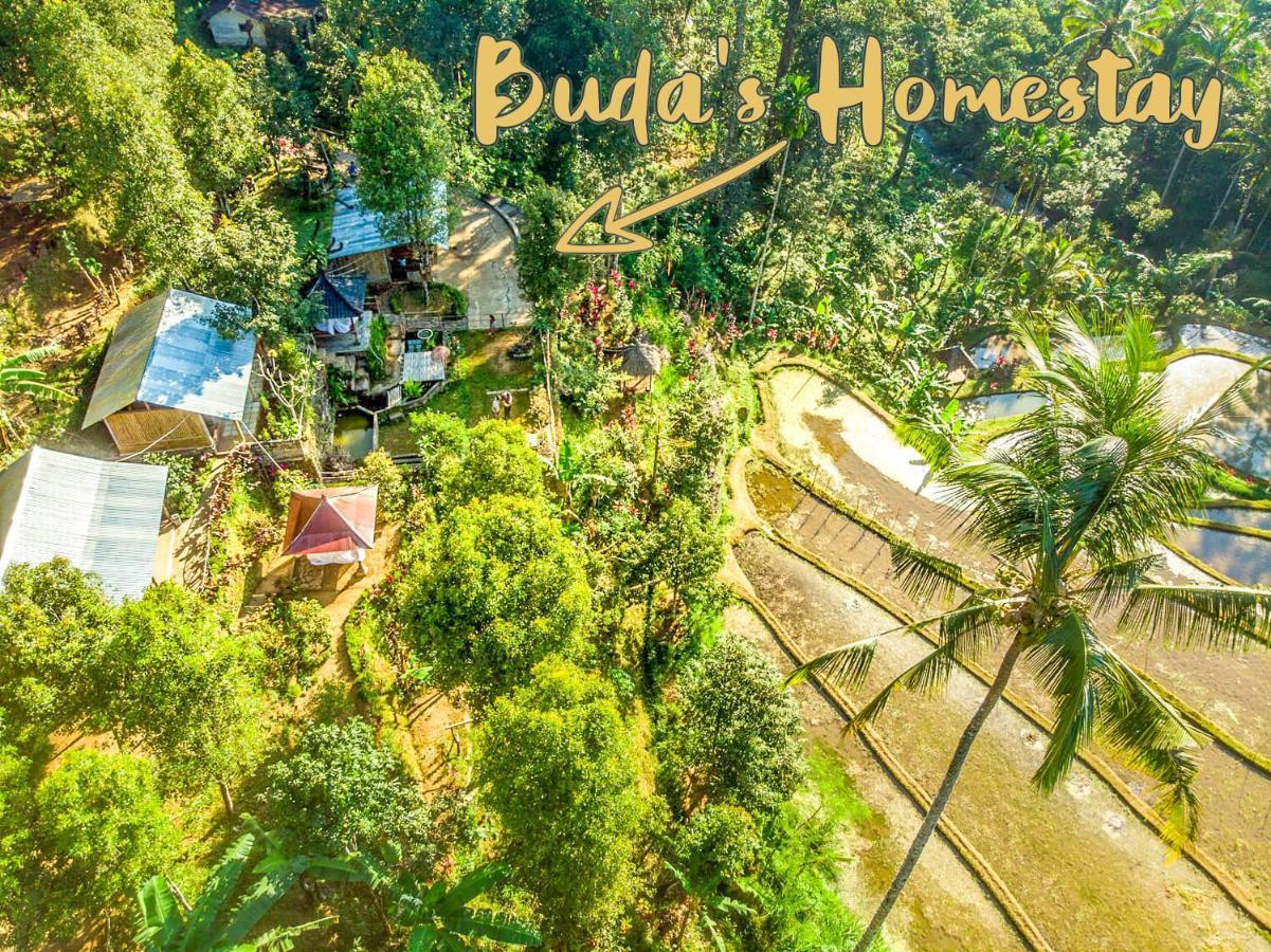 Buda'S Homestay Lemukih Pabean Buleleng エクステリア 写真