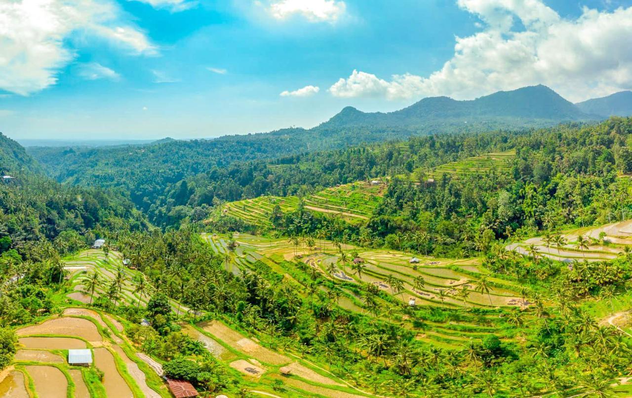 Buda'S Homestay Lemukih Pabean Buleleng エクステリア 写真