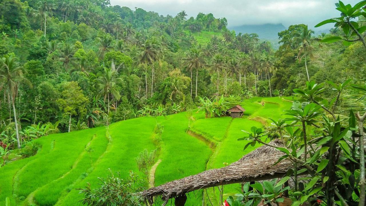 Buda'S Homestay Lemukih Pabean Buleleng エクステリア 写真